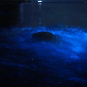 shadow（Prodby.MORROW）