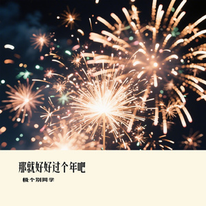 那就好好过个年吧