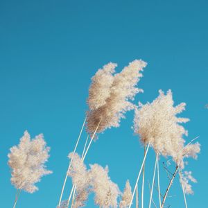 白露，告别夏天