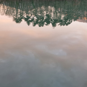 Déambulations
