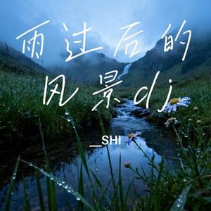 雨过后的风景dj (Cover Dizzy Dizzo  (蔡诗芸))