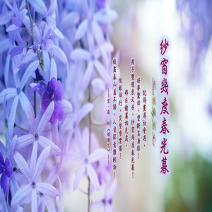 远处那美丽的天空