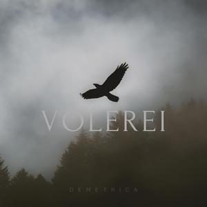 Volerei