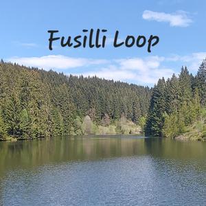Fusilli Loop
