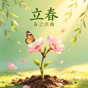 立春 东风吹过玉兰花