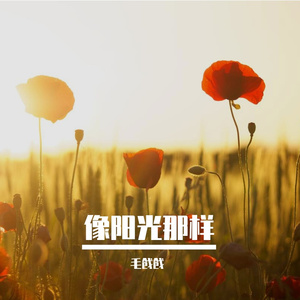 像阳光那样