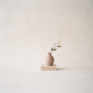 Like It Was Always There