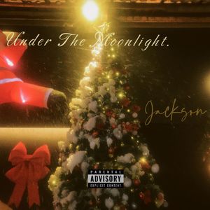 Under the Christmas Moonlight