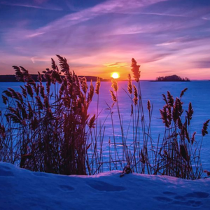 【FREE】日复一日