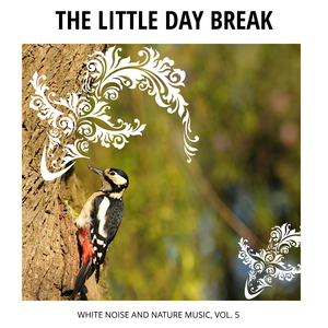 Flowerful Ocean Yard