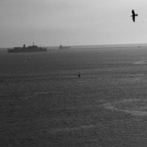 burlington rose and crown