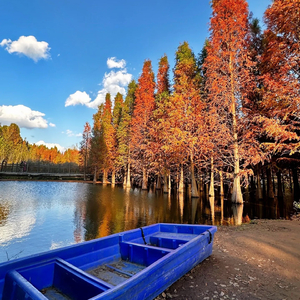 一个《哦》字杀掉整晚胡思乱想