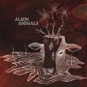 Amoral Wounds