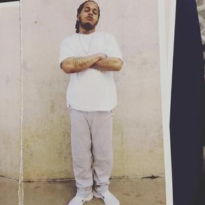 FREE FOOLIE FREESTYLE