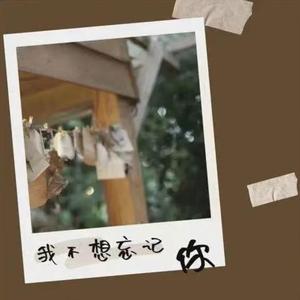 我不想忘记你