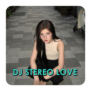 DJ STEREO LOVE