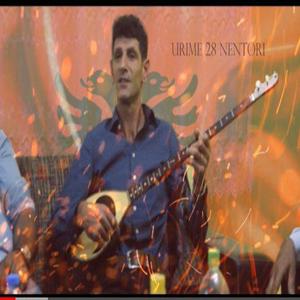 Malli mergimtarit 2019