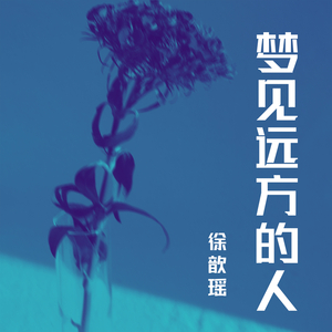 梦见远方的人