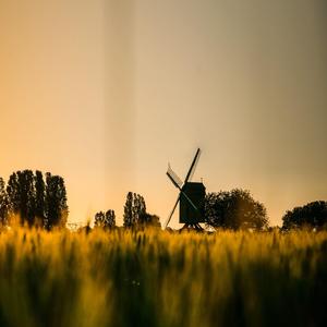 좌절감에서 벗어나는 명상 멜로디