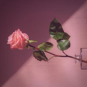 「FREE」孤独的黑洞 伴奏