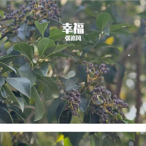 幸福是听见你钥匙声