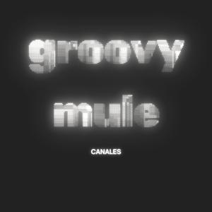 Groovy Mule