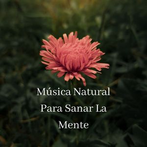 Mantra para Meditar