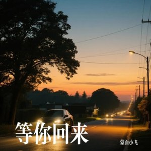 等你回来