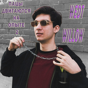 Пацы двигаются на опыте 2