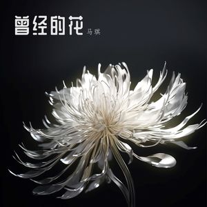 曾经的花