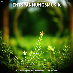 Klangvolle Musik für Spa