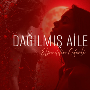 Dağılmış Aile