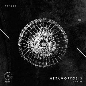 Metamorfosis (Original Mix)