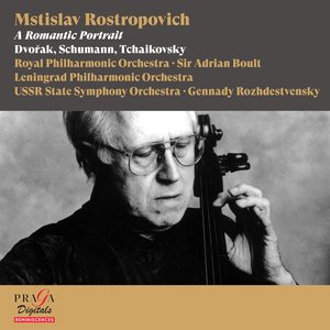 Cello Concerto in A Minor, Op. 104, B. 191: I. Allegro
