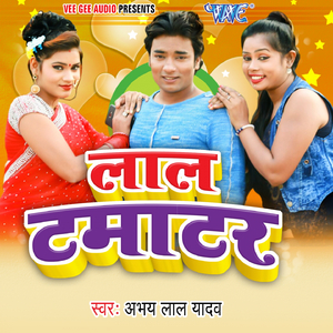 Bujhata Ghare Aihe Sajna