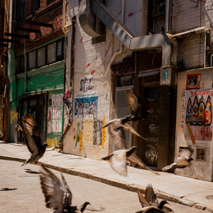 寝室demo1(prod.by Morrow x IOF)