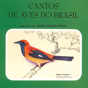 Araponga (Procnias Nudicollis) [Naked-Throated Bellbird]