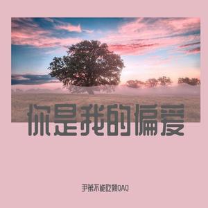 你是我的偏爱（Prod.By ChunLi128)