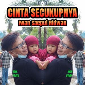 Cinta Secukupnya