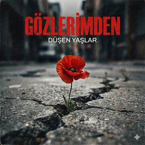 Gözlerimden Düşen Yaşlar