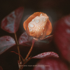 Drop Into Your Heart (Anabadi Remix)