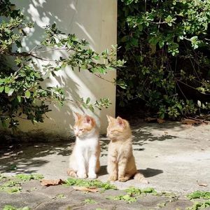 人不是突然变的