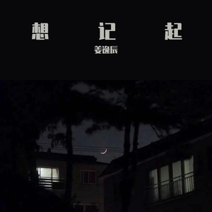想记起