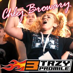 Chlej Browary