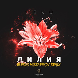 Лилия (Elbrus Mirzabekov Remix)