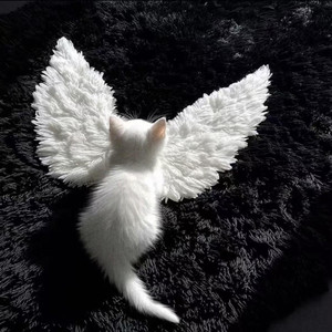 Angel（中文填词）
