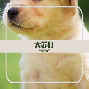的得分