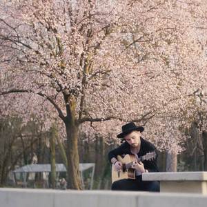 Wonderwall (Instrumental Guitar)