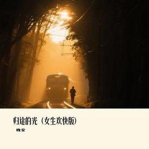 归途的光 (Cover 黄文文)