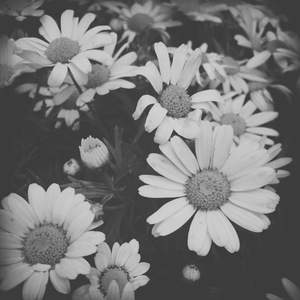 心酸 翻